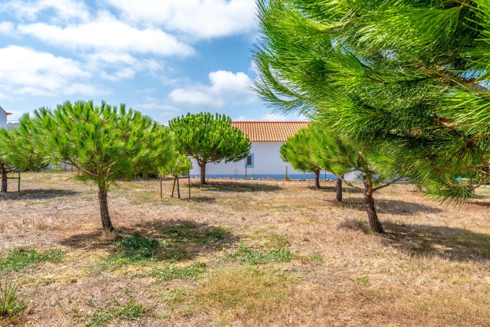 فيلا Quinta Da Bela Vista - Ericeira Galiza المظهر الخارجي الصورة